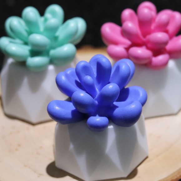succulentsoaps